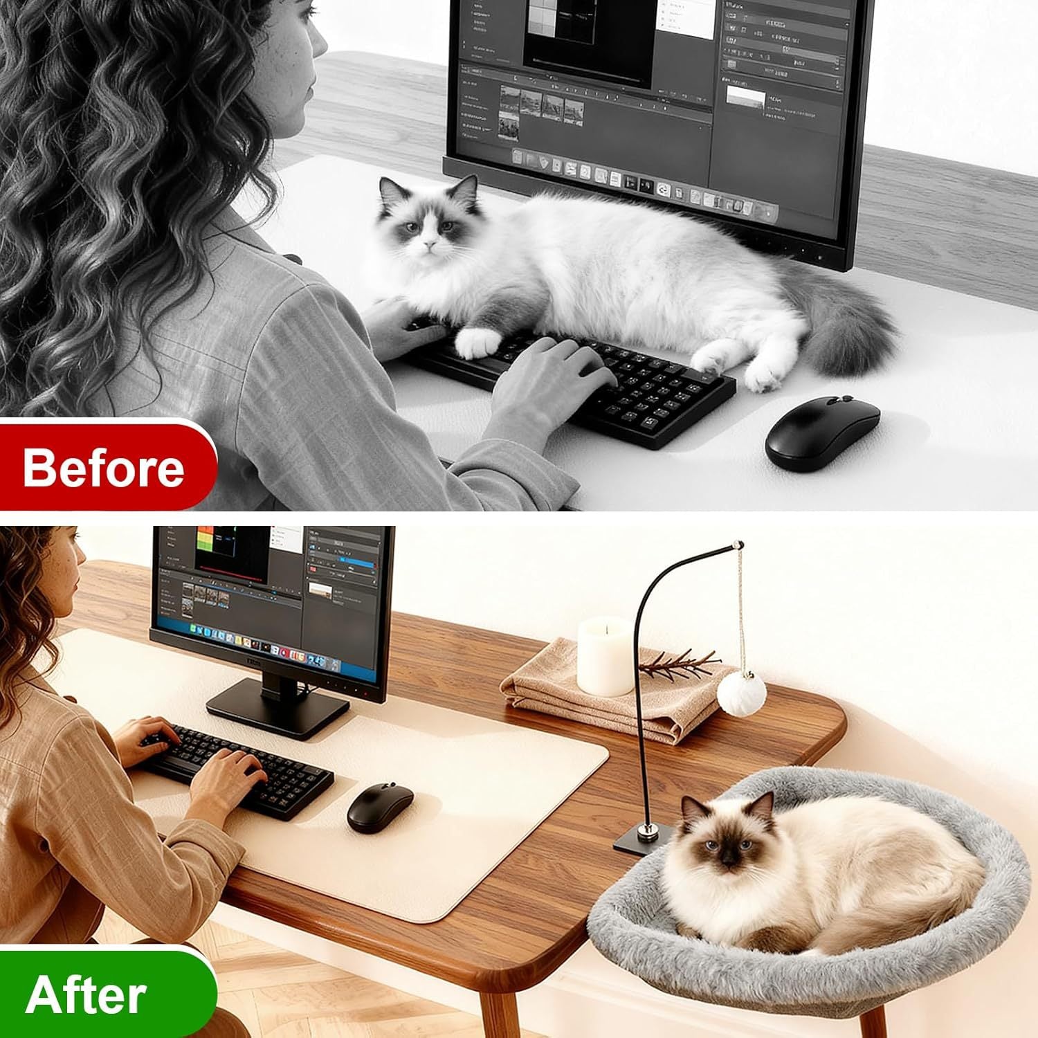 Why your cat will love this hammock.